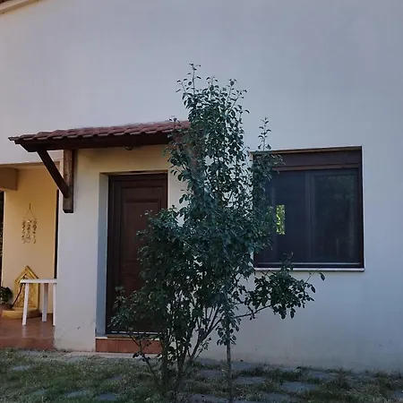 Portaria House Daire